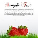 Pair of Strawberries on Grass with Sample Text